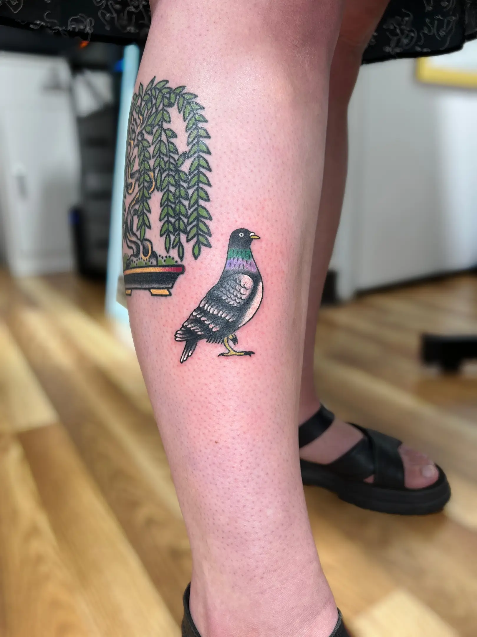 Color tattoo featuring a bonsai tree with drooping leaves next to a realistic pigeon on the leg.